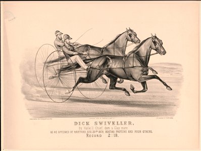 Dick Swiveller- By Walkill chief, dam a Clay Mare LCCN91795959