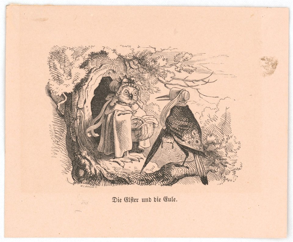 Die Elster und die Eule - Allanson sc. LCCN2017658531