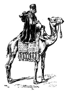 Dictionnaire des termes militaires etc-Mehariste- p192