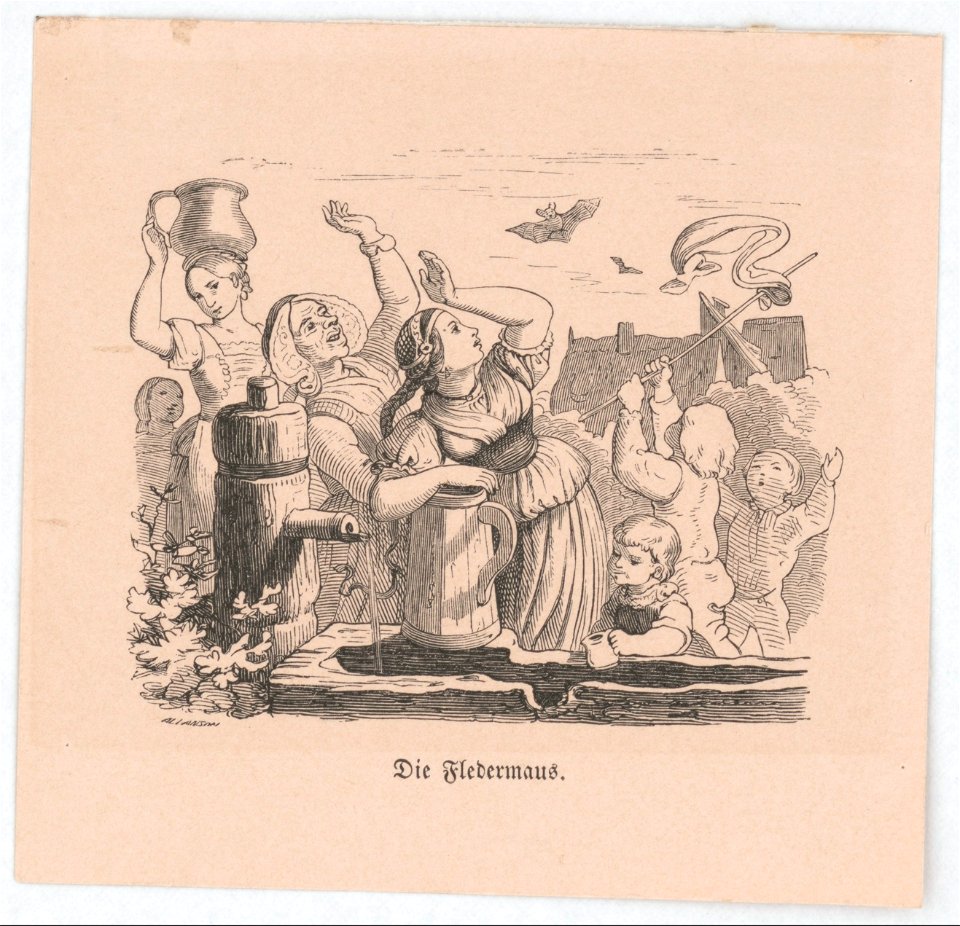 Die Fledermaus - Allanson. LCCN2017658532