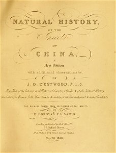 Donovan - Insects of China, 1838 - pl 00 titlepage