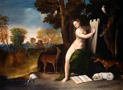 Dosso Dossi 003