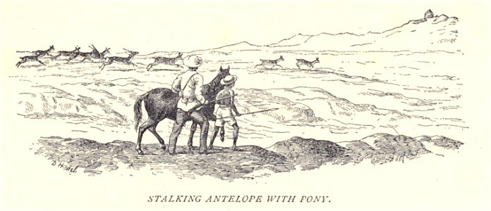 Douglas Hamilton, Stalking Antelope with Pony...1