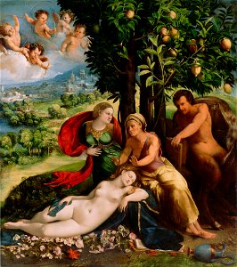 Dosso Dossi 025