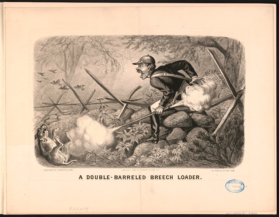 Double-barreled breech loader LCCN91795975