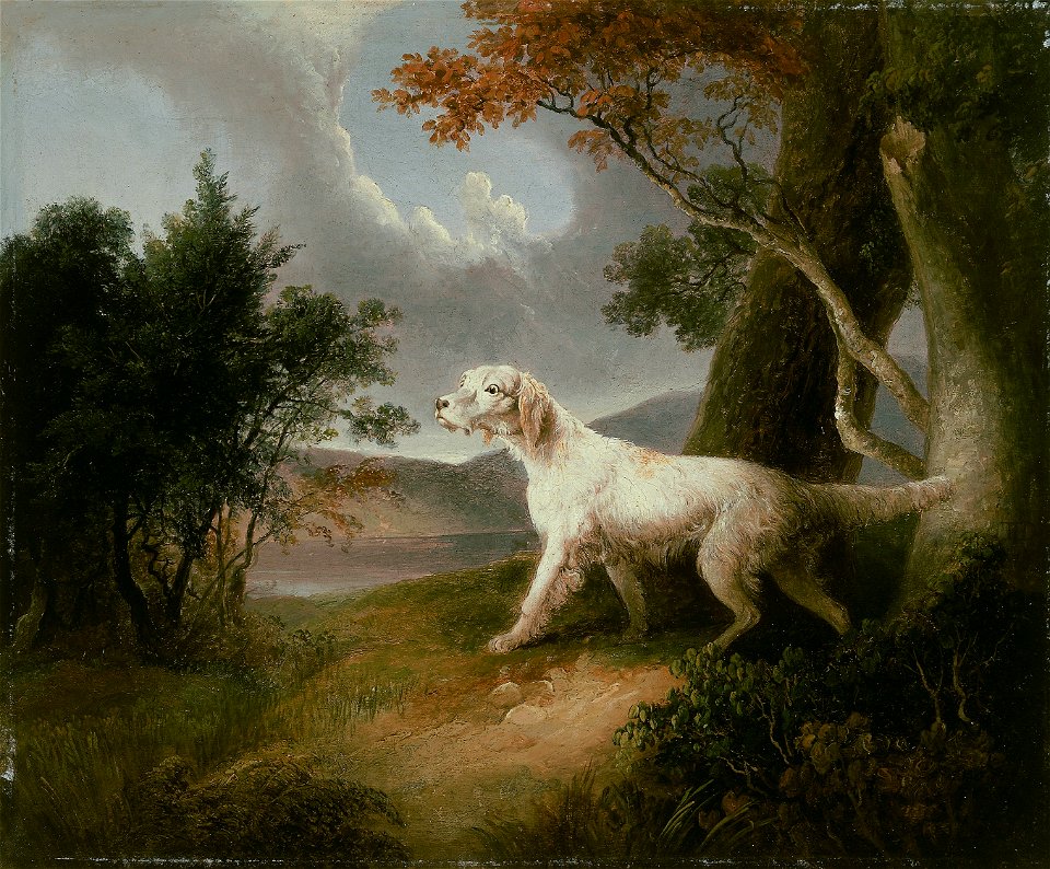 Thomas Doughty - Landscape with Dog - 1990.485 - Art Institute of Chicago