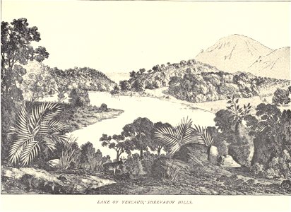 Douglas Hamiltom, Lake of Yercaud, Shervaroy Hills