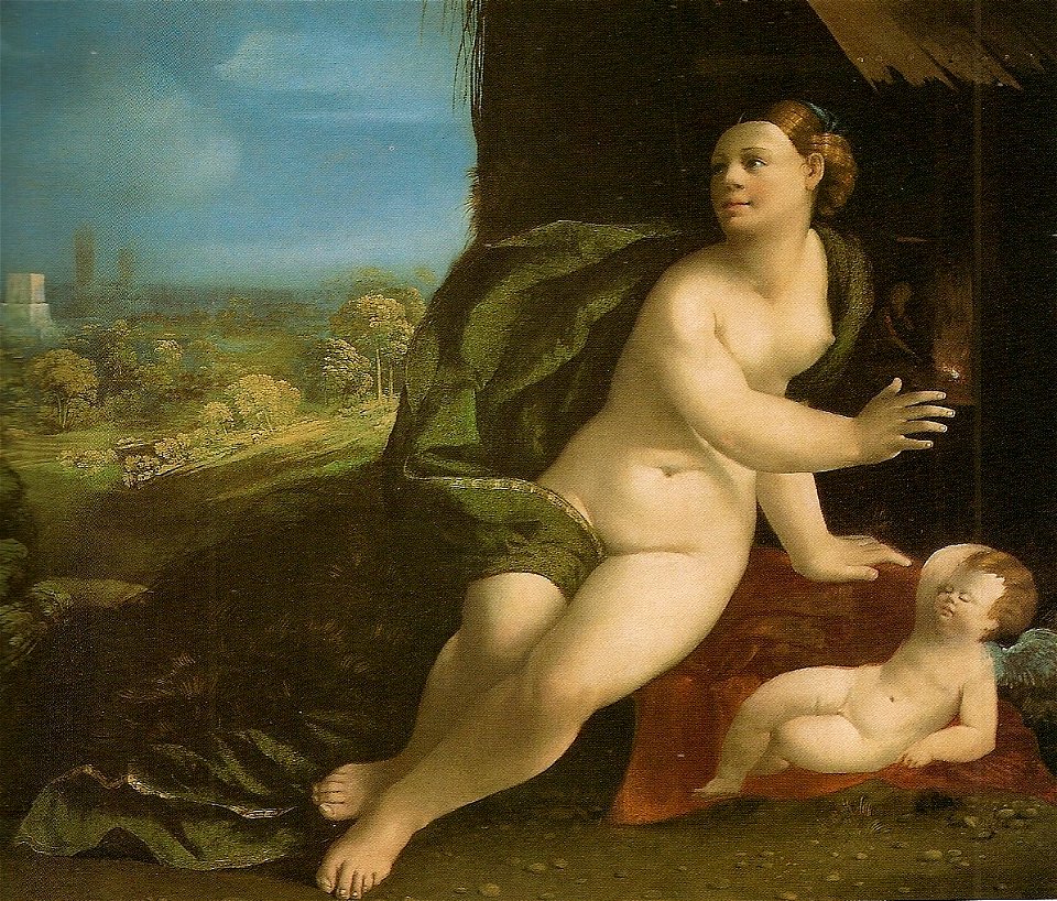 Dosso Dossi Venus and Cupid 1524