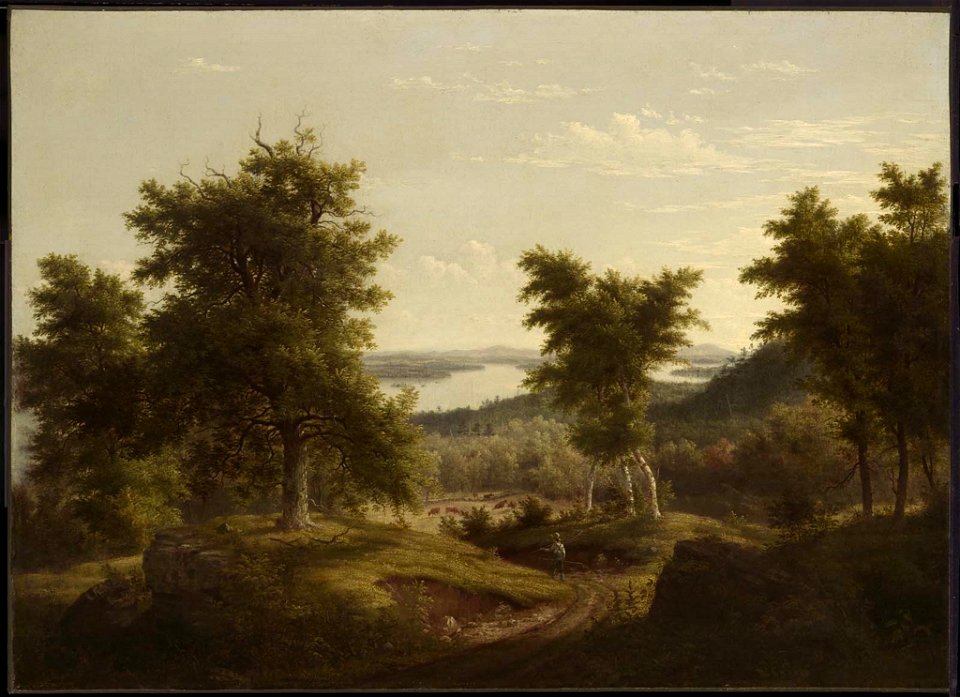 Thomas Doughty - New Hampshire Lake - 64.425 - Museum of Fine Arts