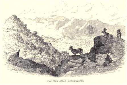 Douglas Hamilton, the Ibex Hills, Annamullys
