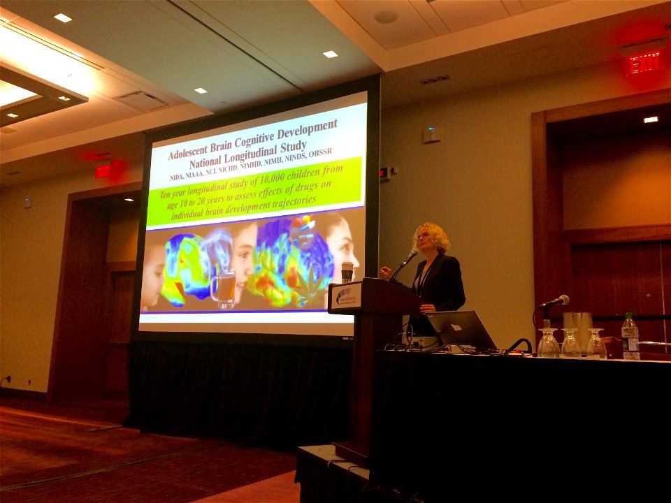 Dr. Volkow gives the ABCD Basics to APA (17861433251)