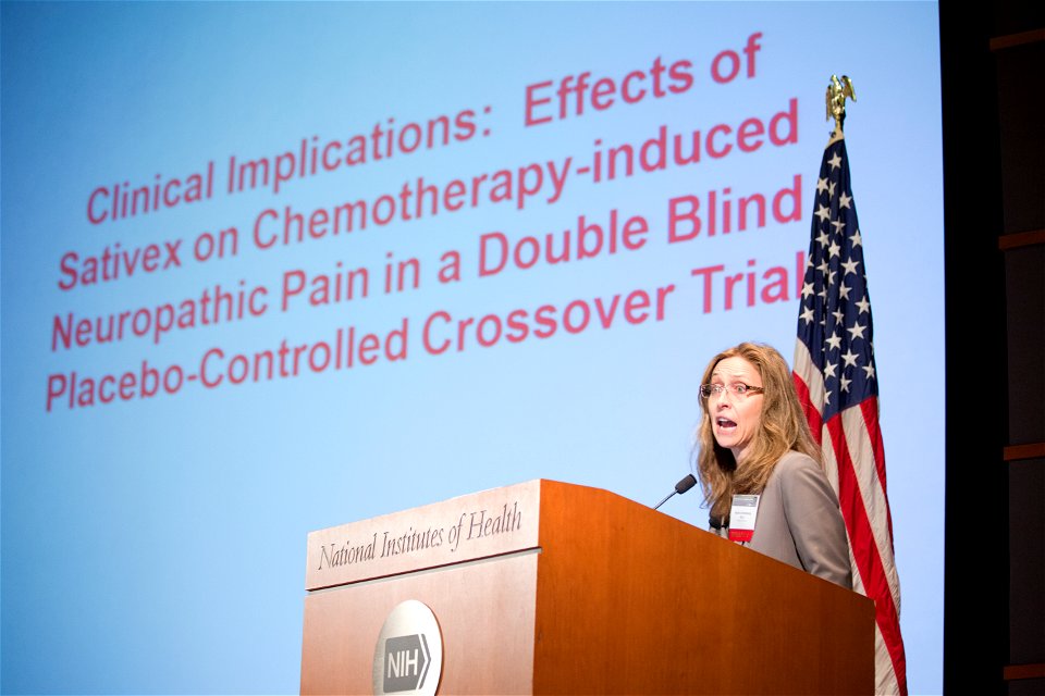 Dr. Andrea Hohmann @ -MJNeuroSummit (25707455310)