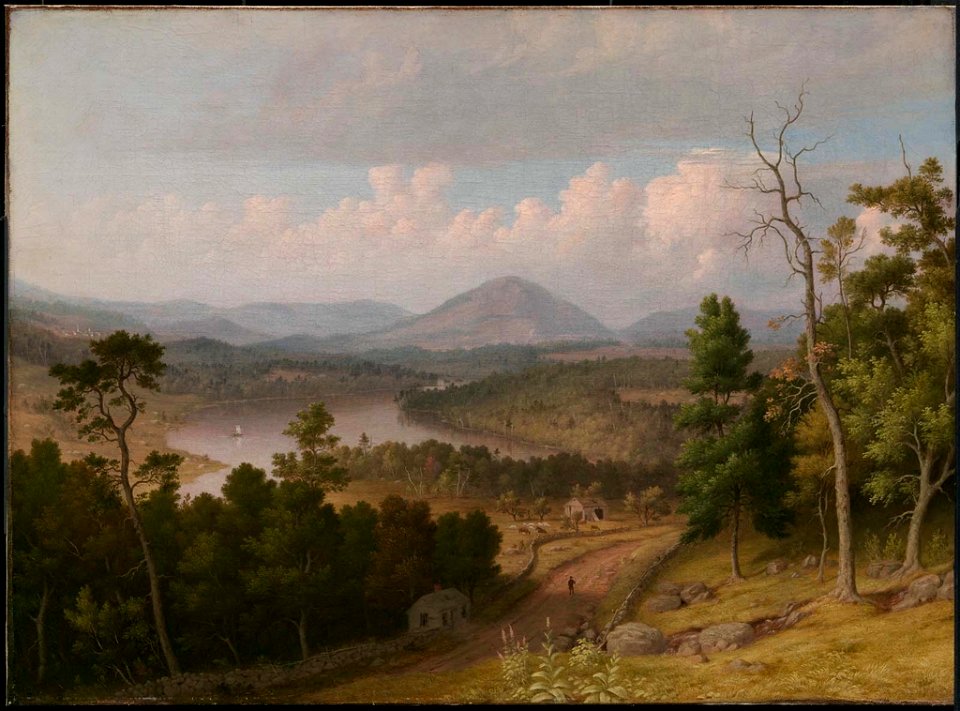 Thomas Doughty - View from Stacey Hill, Stoddard, New Hampshire - 47.1184 - Museum of Fine Arts