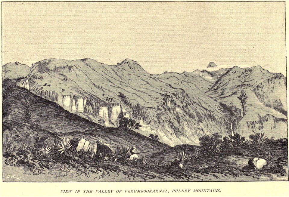 Douglas Hamilton,Valley of Perumbookarnal, Pulney mountains...xv
