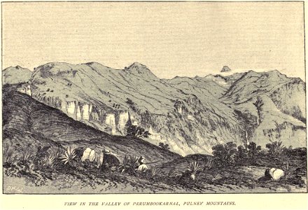 Douglas Hamilton,Valley of Perumbookarnal, Pulney mountains...xv