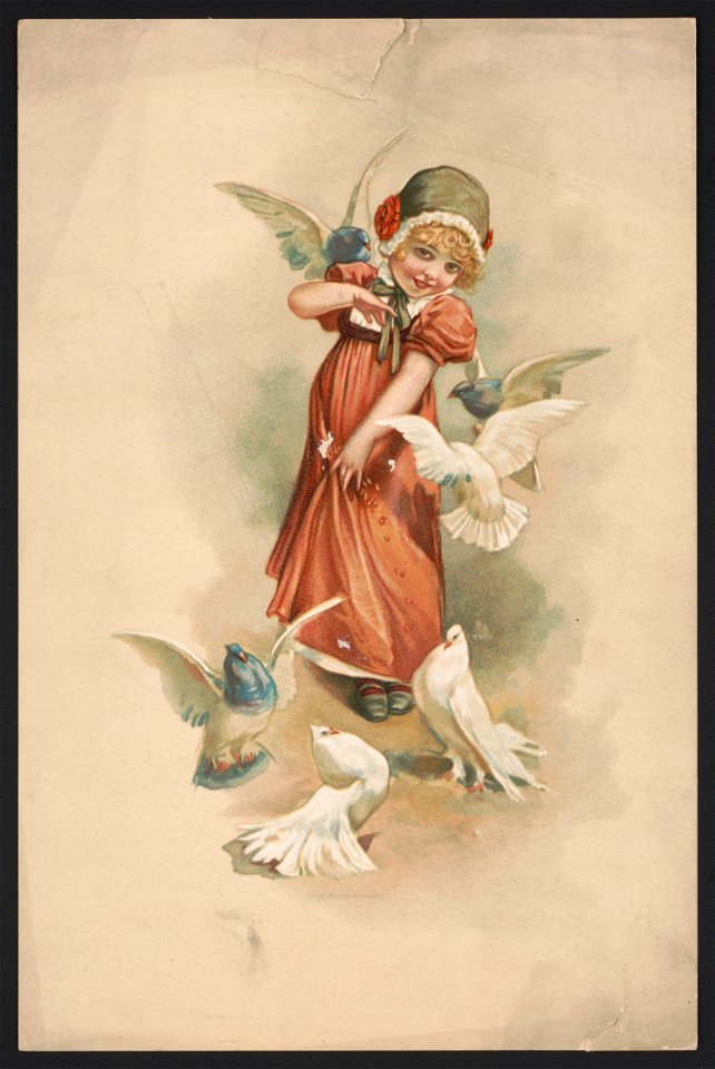 Doves - by A. Miessner. LCCN2016652377