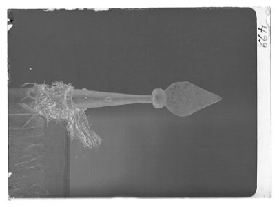 Dragonfana - Livrustkammaren - 36999-negative