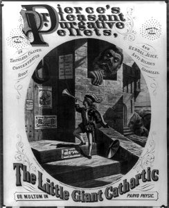 Dr. Pierse's pleasant purgative pellets LCCN2003674675