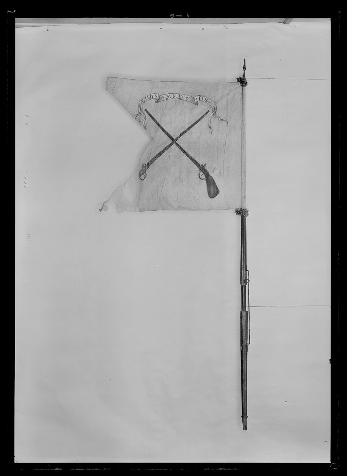 Dragonfana från Dalarna - Livrustkammaren - 17520