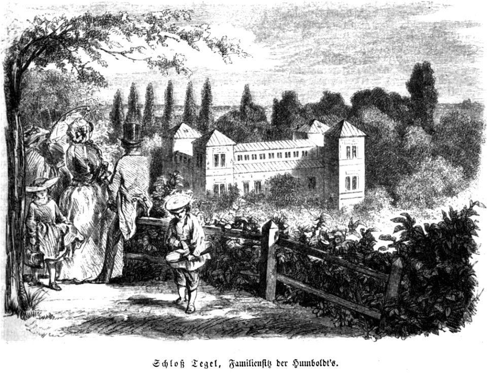 Die Gartenlaube (1857) b 069