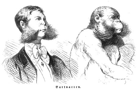 Die Gartenlaube (1857) b 125 3