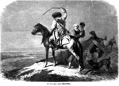 Die Gartenlaube (1857) b 269