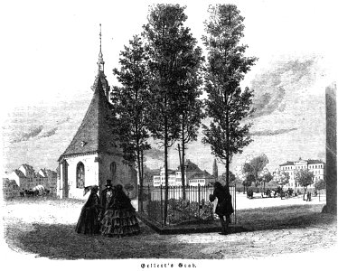 Die Gartenlaube (1857) b 313