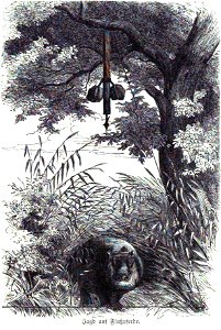 Die Gartenlaube (1857) b 329