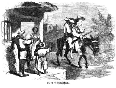 Die Gartenlaube (1857) b 361 1