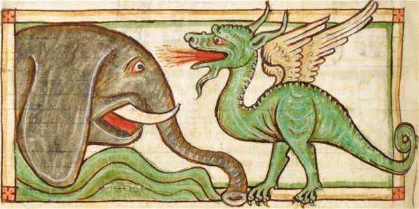 Dragon 3244