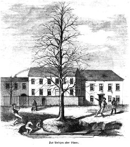 Die Gartenlaube (1857) b 517