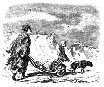 Die Gartenlaube (1857) b 523 2