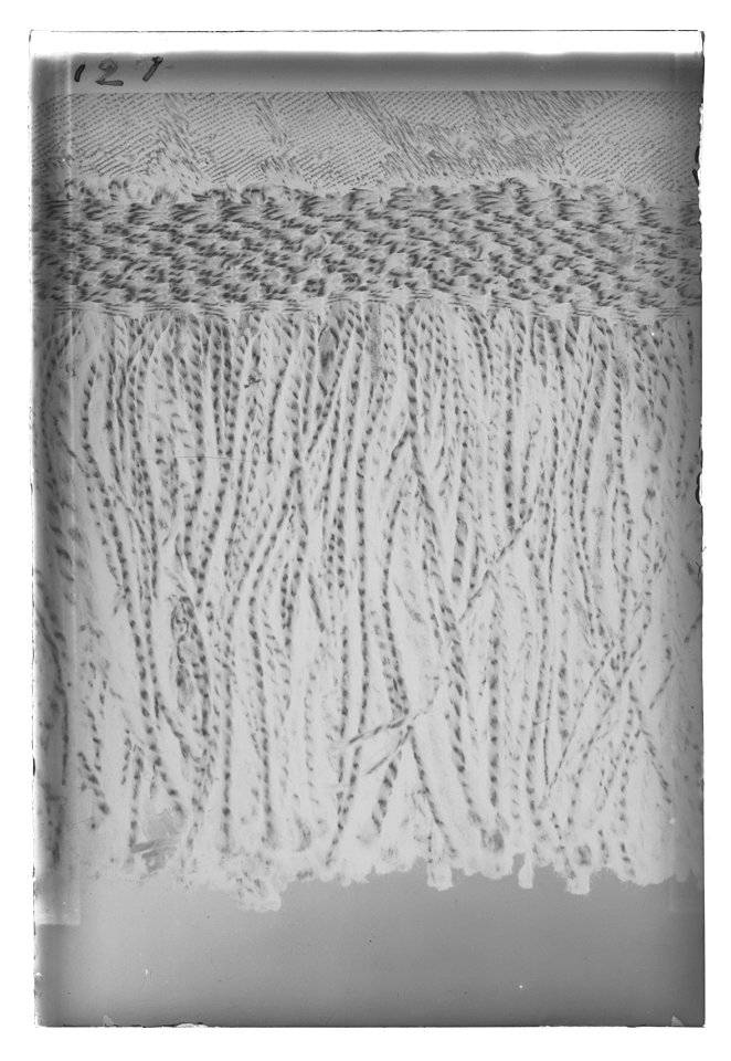 Dragonfana - Livrustkammaren - 11307-negative