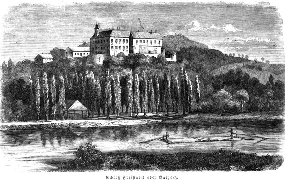 Die Gartenlaube (1857) b 629