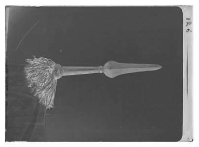 Dragonfana - Livrustkammaren - 19878-negative
