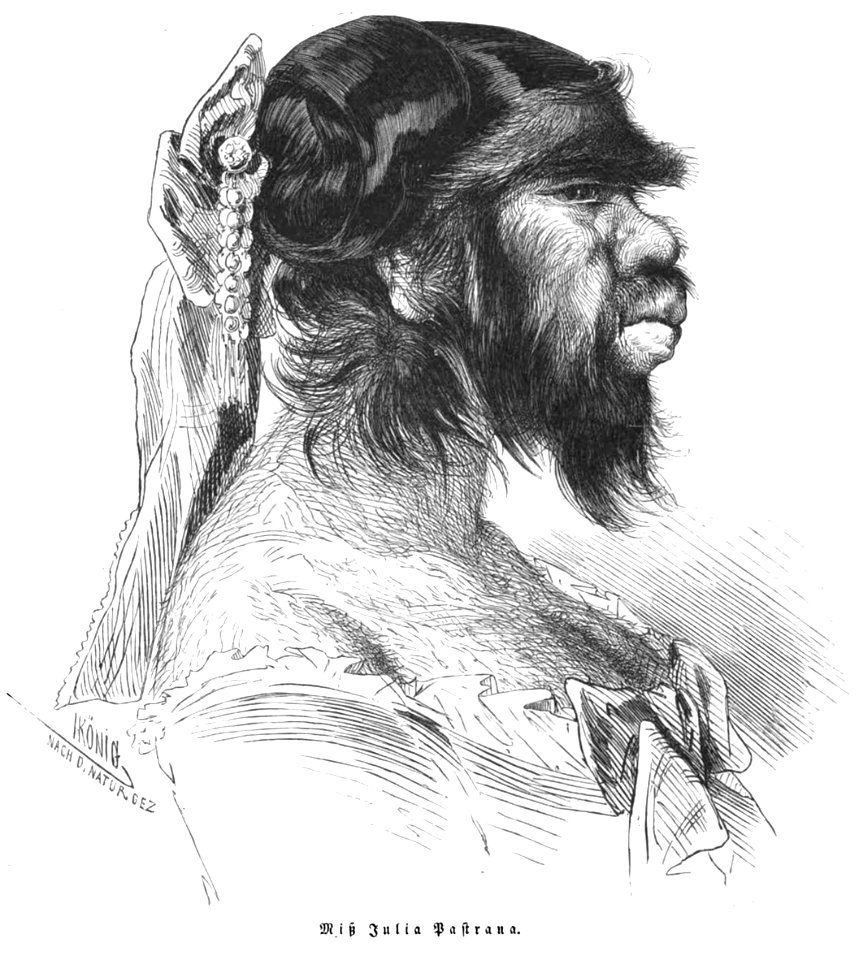 Die Gartenlaube (1857) b 657