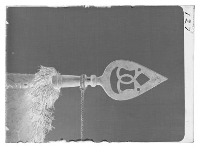 Dragonfana - Livrustkammaren - 54118-negative