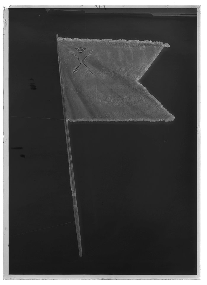 Dragonfana GUD MED OS - Livrustkammaren - 26082-negative