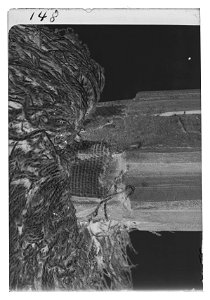 Dragonfana vid Ingermanlands dragoner - Livrustkammaren - 28447-negative