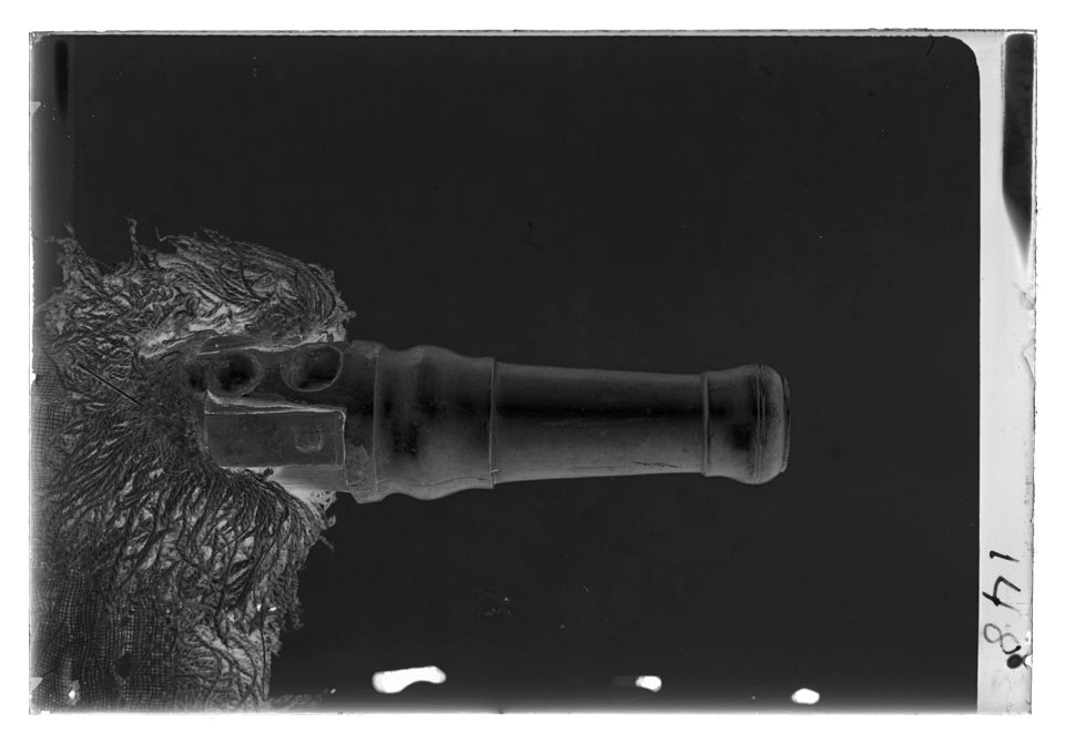Dragonfana vid Ingermanlands dragoner - Livrustkammaren - 37008-negative