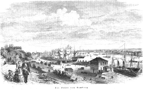 Die Gartenlaube (1857) b 029
