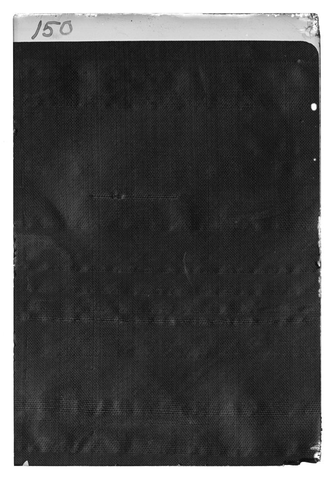 Dragonfana Österbottens vapen - Livrustkammaren - 11321-negative