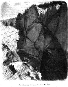 Die Gartenlaube (1857) b 205