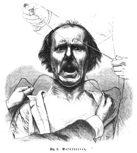Die Gartenlaube (1857) b 213