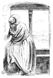 Die Gartenlaube (1857) b 511 2