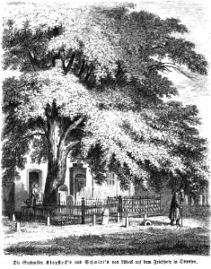Die Gartenlaube (1857) b 261