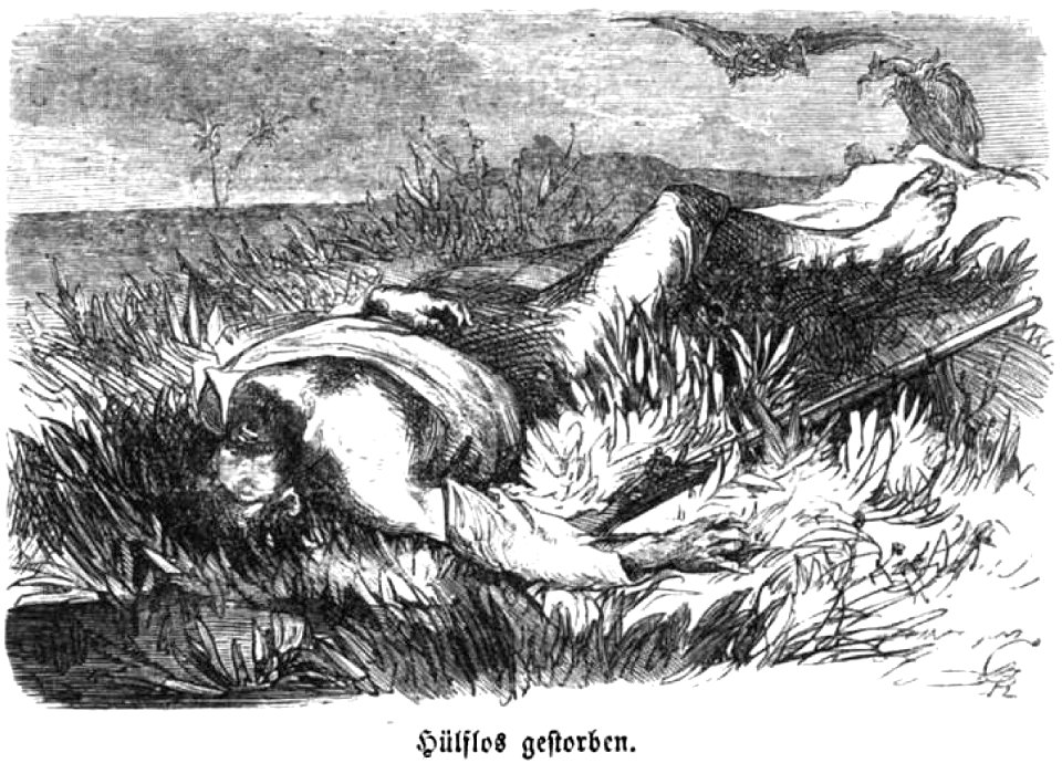 Die Gartenlaube (1857) b 361 3