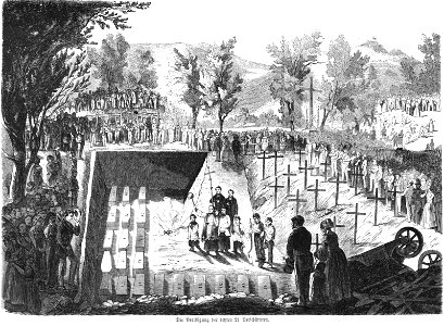 Die Gartenlaube (1857) b 405