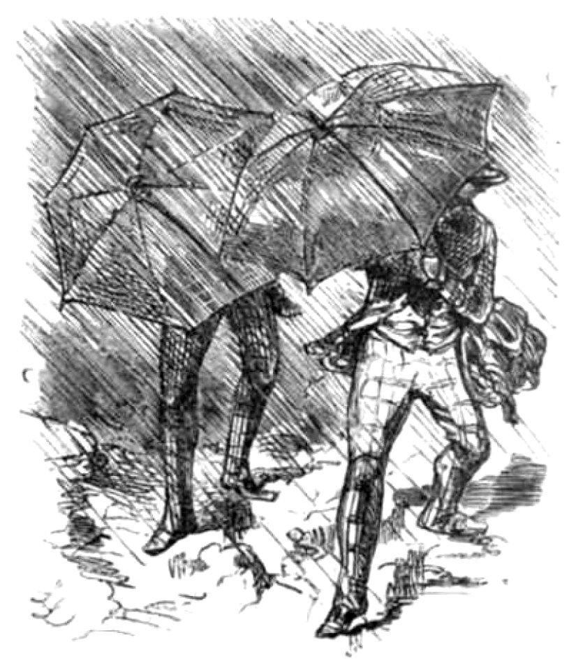 Die Gartenlaube (1857) b 649 2
