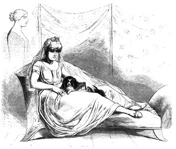 Die Gartenlaube (1857) b 093